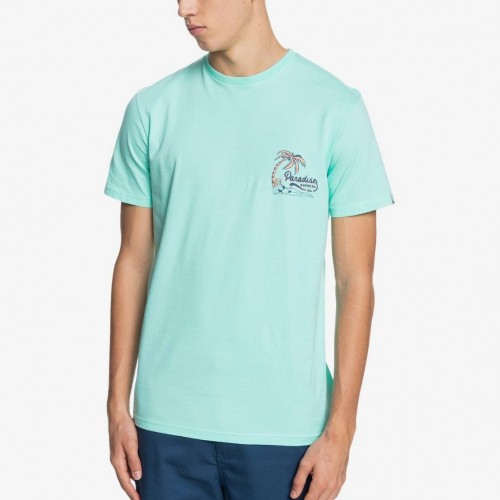Camiseta Quiksilver Another Escape Tee Cabbage