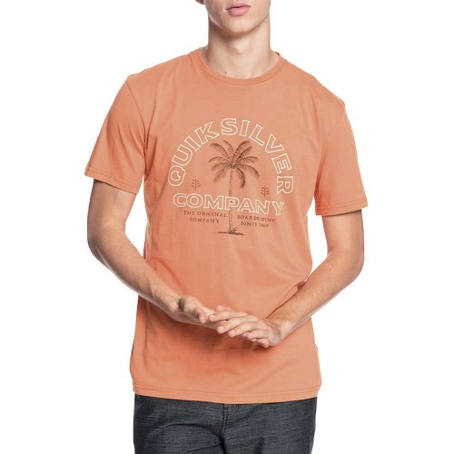 Camiseta Quiksilver Shining Hour Tee Desert Sand
