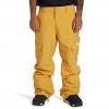 DC Shoes Banshee Pant Tinsel