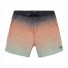 Bañador Billabong All Day Faded Laybacks 16" Boy Mint