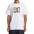 Camiseta DC Shoes Star Fill Tee White