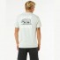 Camiseta Rip Curl Desti Animals Tee Mint-1