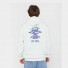Sudadera Rip Curl Search Icon Hood Green Mist-1