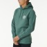 Sudadera Rip Curl Wetsuit Icon Hood Washed Green