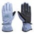 Guantes de snowboard Roxy Freshfield Gloves Wild Wind