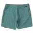 Bañador Vissla Bongos 18.5" Boardshort Dusty Green-1