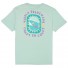 Camiseta Vissla Coast To Coast Tee Agave