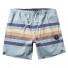 Bañador Vissla Fist Bump 17.5" Boardshort Aloe